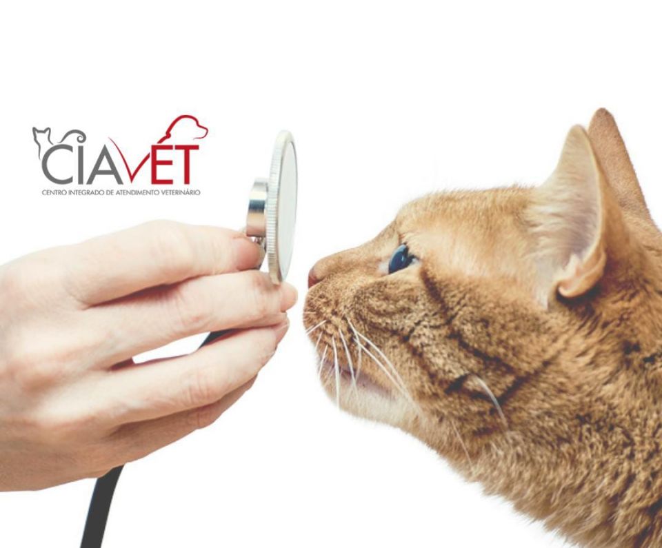 Ciavet - Clnica Veterinria -