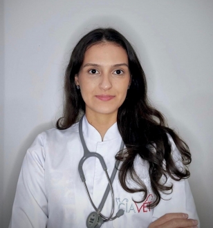 Ciavet - Clnica Veterinria -